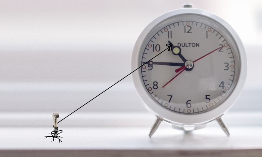 Time Management Basics
